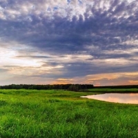 Exceptional Cattle Ranch &nbsp; Hunting Land For Sale in Northeast MS images 3
