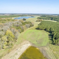 Exceptional Cattle Ranch &nbsp; Hunting Land For Sale in Northeast MS images 5