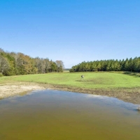 Exceptional Cattle Ranch &nbsp; Hunting Land For Sale in Northeast MS images 6