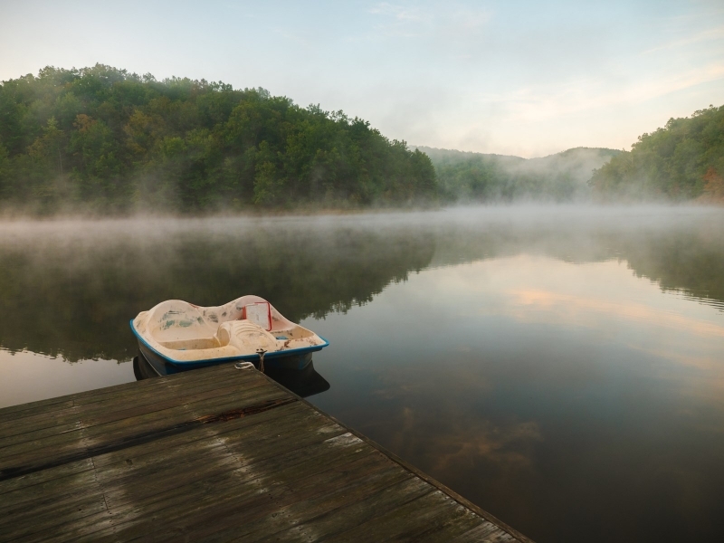 Hunting &nbsp; Recreational Land with Lake For Sale in Western VA featured image