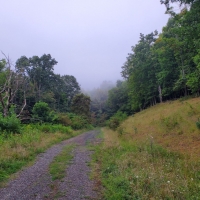 Hunting &nbsp; Recreational Land with Lake For Sale in Western VA images 6