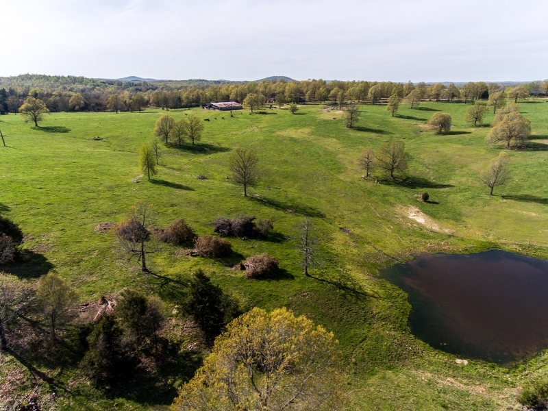 Productive Farm &nbsp; Hunting Land For Sale in Fulton County  AR featured image