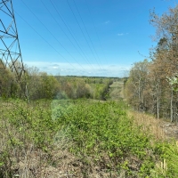 10.20  -wooded acres on top of the beautiful South Pittsburg Mtn. images 3