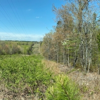 10.20  -wooded acres on top of the beautiful South Pittsburg Mtn. images 5