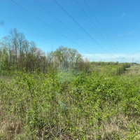 10.20  -wooded acres on top of the beautiful South Pittsburg Mtn. images 4