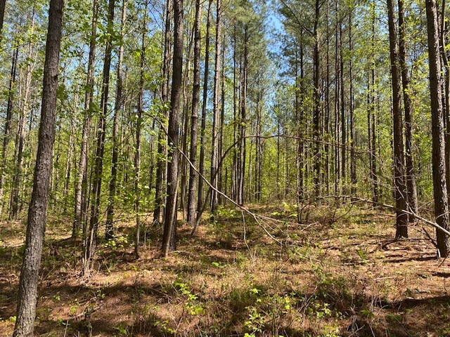 10.20  -wooded acres on top of the beautiful South Pittsburg Mtn. featured image
