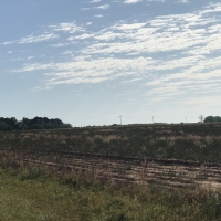 Farm &nbsp; Timber with Creek images 3