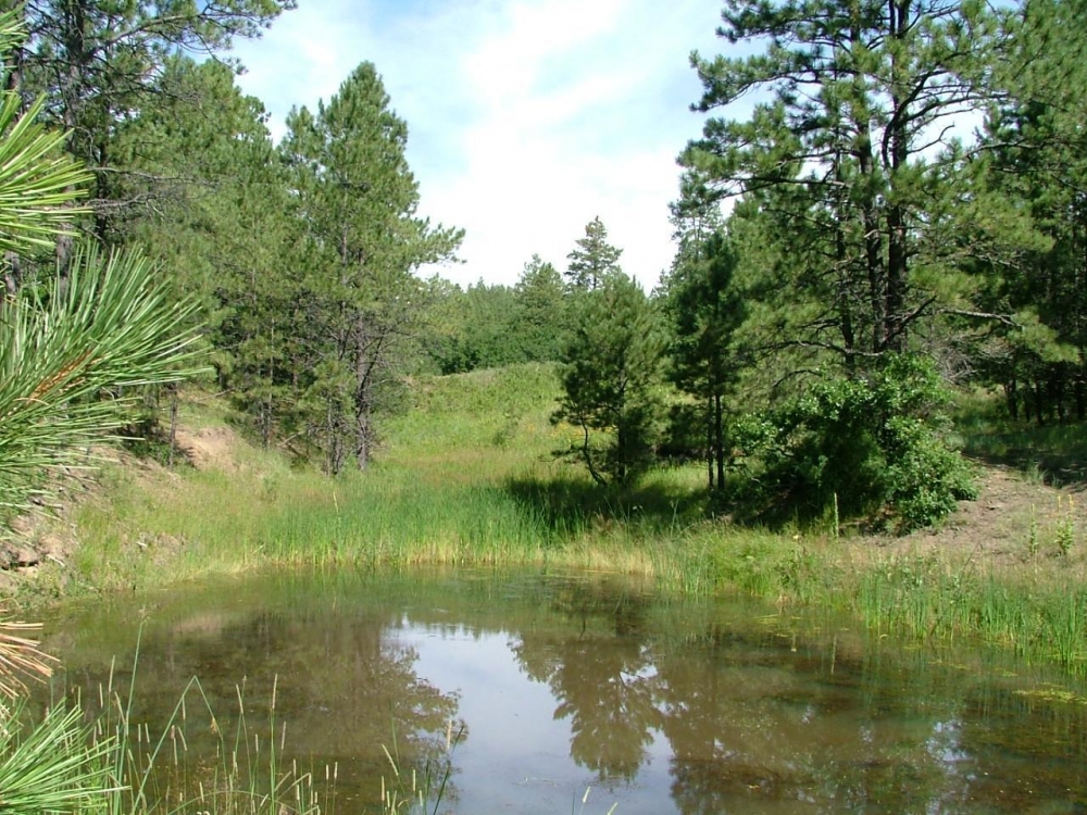 E18 Santa Fe Trail Ranch featured image