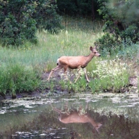 E18 Santa Fe Trail Ranch images 3