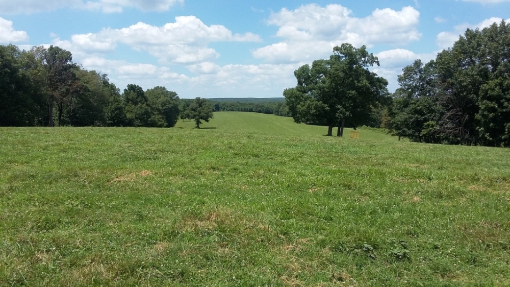 Cattle Ranch &nbsp; Hunting Land For Sale in Morgan County  MO featured image