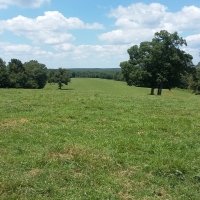 Cattle Ranch &nbsp; Hunting Land For Sale in Morgan County  MO