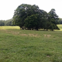 Cattle Ranch &nbsp; Hunting Land For Sale in Morgan County  MO images 2