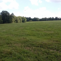 Cattle Ranch &nbsp; Hunting Land For Sale in Morgan County  MO images 3