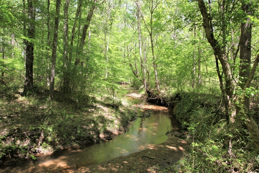 Outstanding Recreation Tract or Homesite featured image