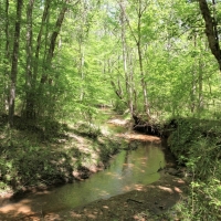 Outstanding Recreation Tract or Homesite images 1