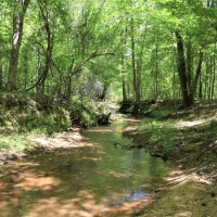 Outstanding Recreation Tract or Homesite images 2