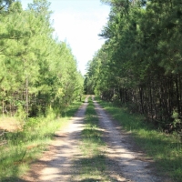 Outstanding Recreation Tract or Homesite images 3