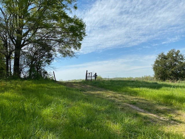 97  - acres in beautiful Warren County has over 3500 feet of frontage on two creeks featured image