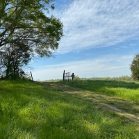 97  - acres in beautiful Warren County has over 3500 feet of frontage on two creeks