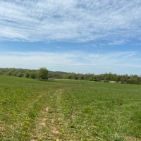 97  - acres in beautiful Warren County has over 3500 feet of frontage on two creeks images 2