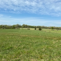 97  - acres in beautiful Warren County has over 3500 feet of frontage on two creeks images 4
