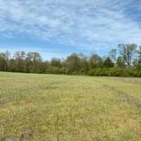 97  - acres in beautiful Warren County has over 3500 feet of frontage on two creeks images 5