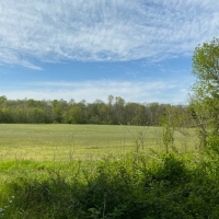 97  - acres in beautiful Warren County has over 3500 feet of frontage on two creeks images 6