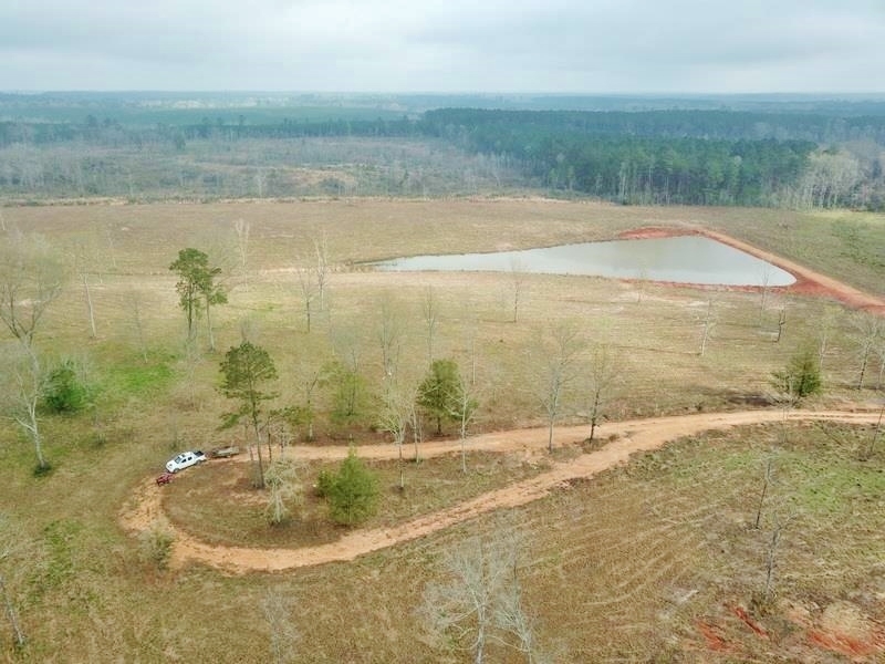 47.11 Acres Cleared Land for Sale Pond Magnolia  Pike Co  MS featured image