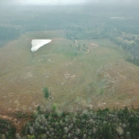 47.11 Acres Cleared Land for Sale Pond Magnolia  Pike Co  MS images 2