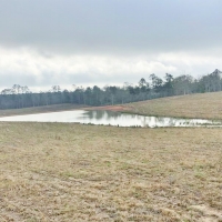 47.11 Acres Cleared Land for Sale Pond Magnolia  Pike Co  MS images 3