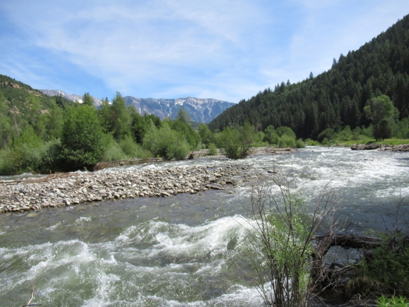 Riverfront Resort with Cabins &nbsp; Water Rights For Sale in Somerset  CO featured image