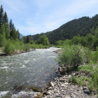 Riverfront Resort with Cabins &nbsp; Water Rights For Sale in Somerset  CO images 6