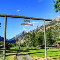 Majo Ranch images 2