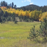 Recreational Mountain Land with Pond For Sale in Cripple Creek CO