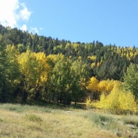 Recreational Mountain Land with Pond For Sale in Cripple Creek CO images 2