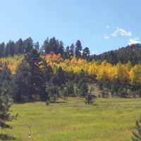Recreational Mountain Land with Pond For Sale in Cripple Creek CO images 3