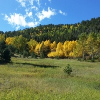 Recreational Mountain Land with Pond For Sale in Cripple Creek CO images 4
