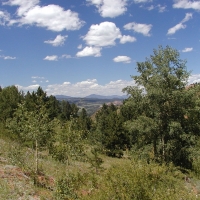 Recreational Mountain Land with Pond For Sale in Cripple Creek CO images 5