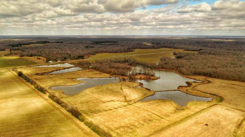 The Lawson-Trotter Farm featured image