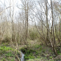 58 Acres in Madison County in Camden  MS images 2