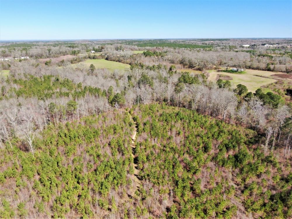 45-021-piney-woods-creek featured image