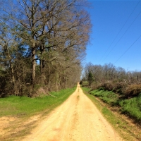 45-021-piney-woods-creek images 4