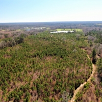 45-021-piney-woods-creek images 5