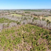 45-021-piney-woods-creek images 6