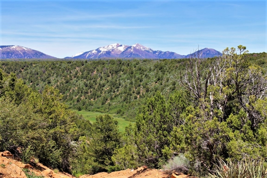 La Plata Mountain Ranch featured image