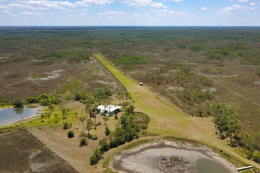 The Popenhager Camp at Big Cypress National Preserve featured image