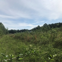 3.09 Wooded Acres In NPSD images 2
