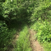 3.09 Wooded Acres In NPSD images 3