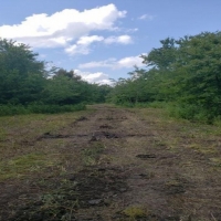 Country Home &nbsp; Hunting Land For Sale in Northeast TX images 2