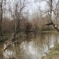 Country Home &nbsp; Hunting Land For Sale in Northeast TX images 3